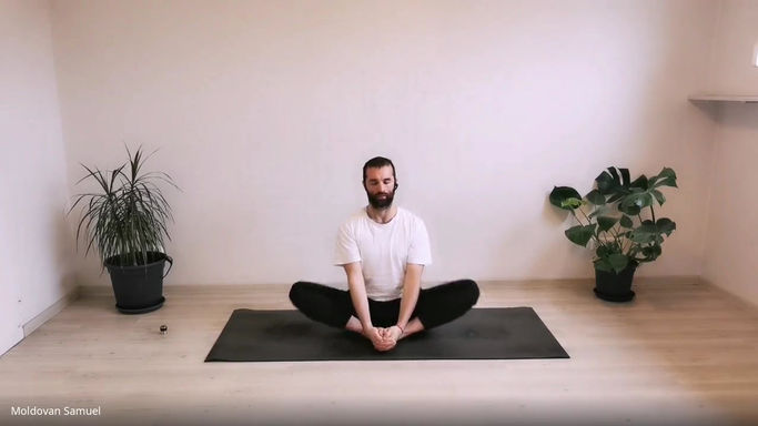 Lunch Yoga with Samuel - From Stone to Feather
